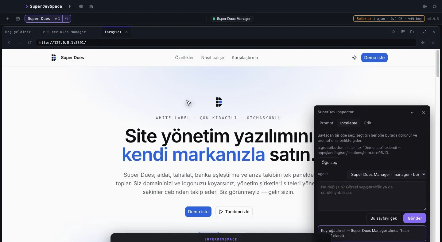 The app's built-in browser pane with a web page open and an agent panel docked beside it